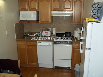 Allston Apartment for rent Studio 1 Bath Boston - $1,975