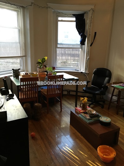 Brookline Apartment for rent 1 Bedroom 1 Bath  Washington Square - $2,150