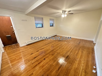 Brighton 1 Bed 1 Bath Boston - $2,150