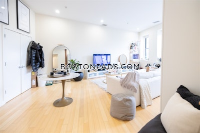 South End 1 Bed 1 Bath BOSTON Boston - $3,350