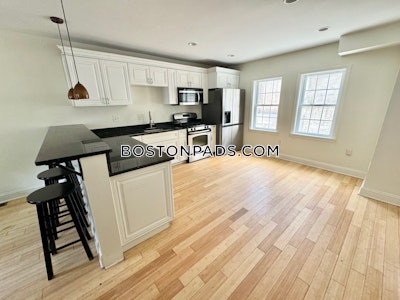 Fort Hill 4 Beds 2 Baths on Saint James Pl in Boston Boston - $5,000