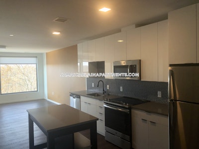 Jamaica Plain Apartment for rent 2 Bedrooms 1 Bath Boston - $4,375 No Fee