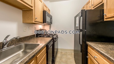 Cambridge Apartment for rent Studio 1 Bath  Porter Square - $2,579 No Fee