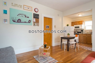 Allston Apartment for rent Studio 1 Bath Boston - $2,450