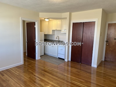 Brighton 1 Bed 1 Bath Boston - $2,200 50% Fee