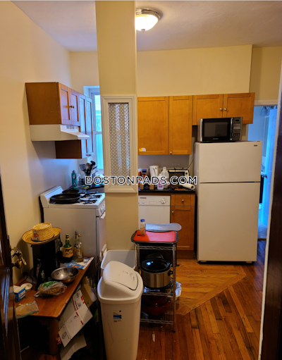 Allston Apartment for rent 1 Bedroom 1 Bath Boston - $2,750