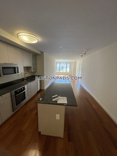 West End Apartment for rent 1 Bedroom 1 Bath Boston - $3,235