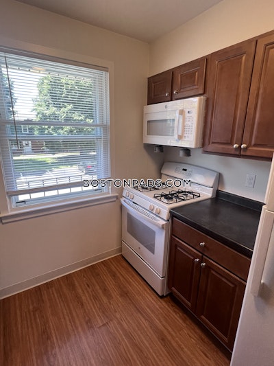 East Boston Apartment for rent 1 Bedroom 1 Bath Boston - $2,763