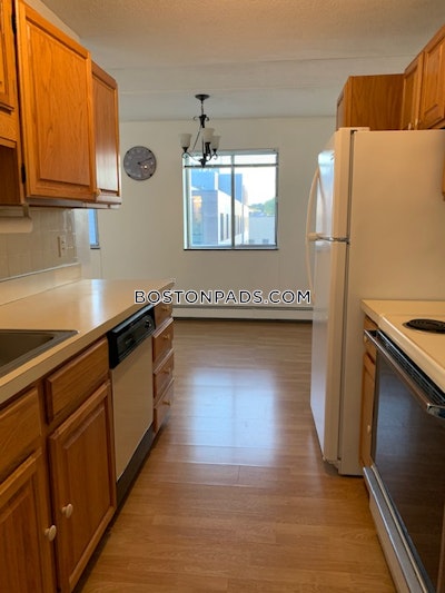 Allston Apartment for rent 1 Bedroom 1 Bath Boston - $2,600