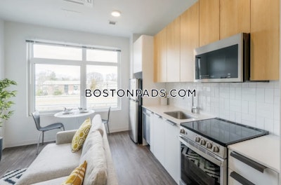 Allston Apartment for rent Studio 1 Bath Boston - $2,827 No Fee