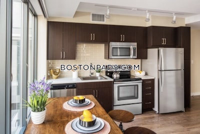 Downtown Studio  Luxury in BOSTON Boston - $2,785