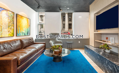 Downtown 1 bedroom 1 baths Luxury in BOSTON Boston - $3,279