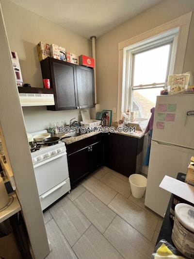 Allston Apartment for rent 1 Bedroom 1 Bath Boston - $2,700