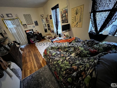 Mission Hill Apartment for rent 2 Bedrooms 1 Bath Boston - $3,500