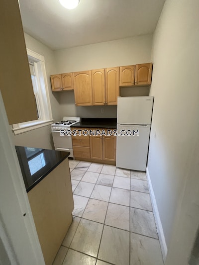 Allston Apartment for rent 1 Bedroom 1 Bath Boston - $2,700